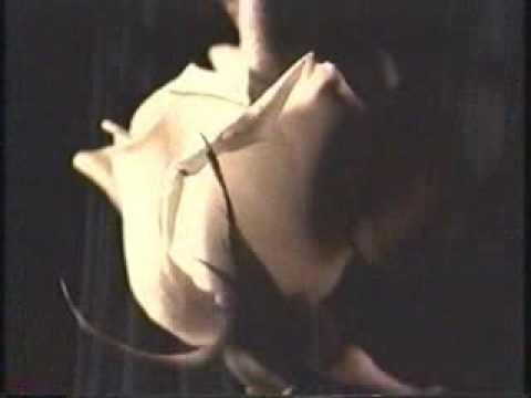 Did You Fall In Love With Me video