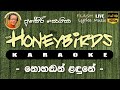 Nohadan Ladune Karaoke Without Voice නොහඬන් ළඳුනේ කැරෝකේ