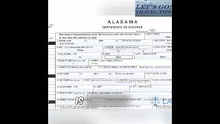 Cruise Document Drama? Don't Let This Ruin Your Vacation! #shorts