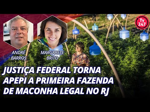 Justiça federal torna APEPI a primeira fazenda de maconha legal no RJ