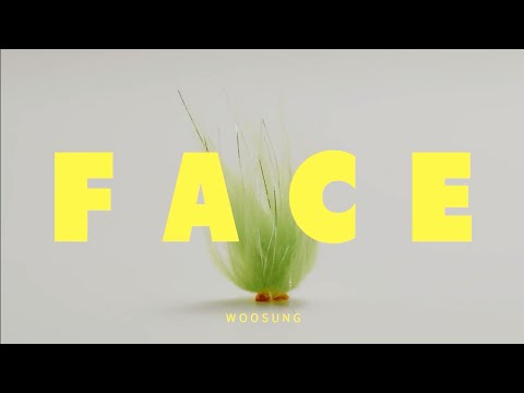 金佑星 (김우성 / KIM WOOSUNG) - FACE 中字