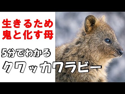 リダイレクトアイコン