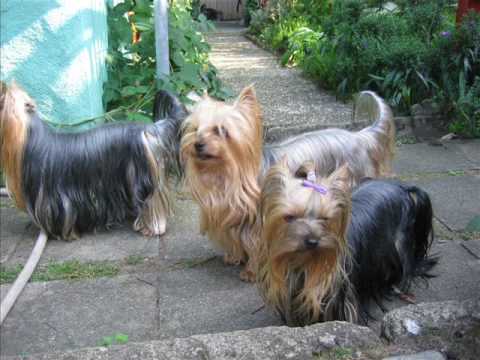 Video thumbnail for Soundtrack to the Summer