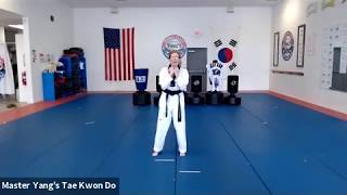 Live Class - Little TIgers & Yellow Stripe - 5.8.20 @ 4pm