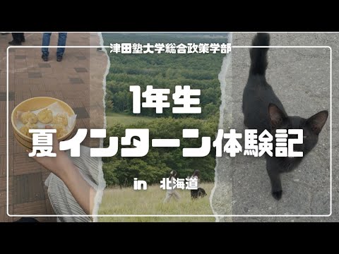 総合政策学科 1年生の夏インターン体験記🌻 in 北海道