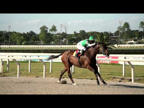 211211 c06 EL PAMPERO