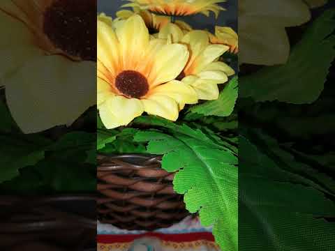 Oração de proteção aos nossos filhos e livramento de morte