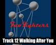 Foo Fighters - Walking After You 