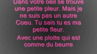 sum 41 ma poubelle with lyrics