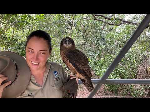 Territory Wildlife Park