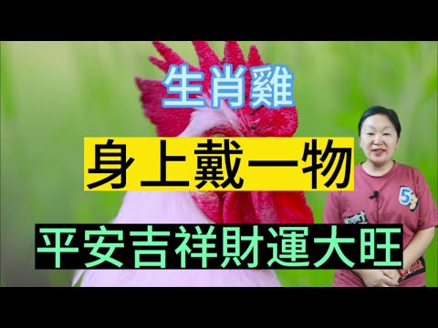 屬雞的吉祥物