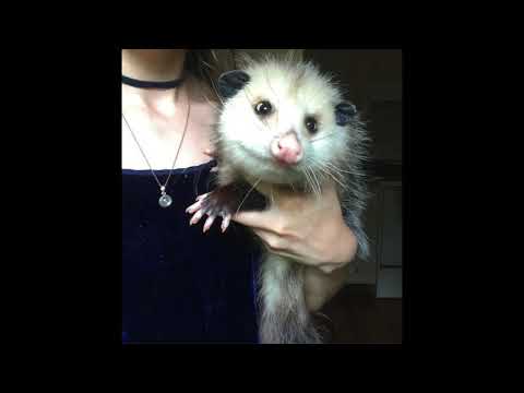 FREE glaive x osquinn x 100 gecs x hyperpop type beat "i like u"