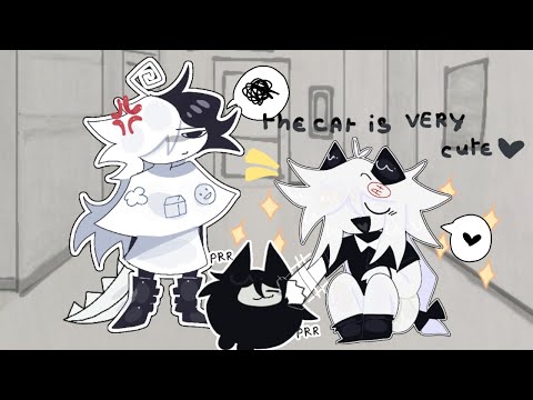 The cat is very cute meme//fundamental education paper//ft miss circle zip Oliver//(Animation meme)