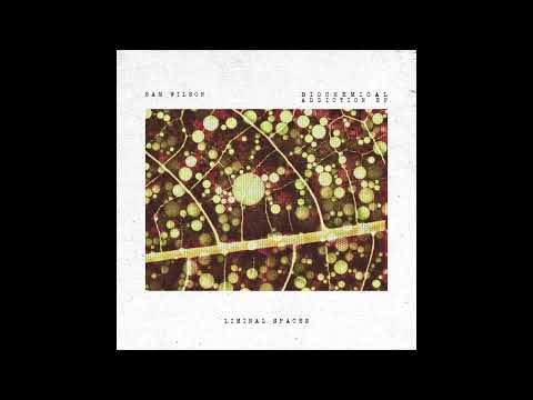 Indefinite Pitch premieres. Sam Wilson - Biochemical Addiction (Vanta Remix) [Liminal Spaces]