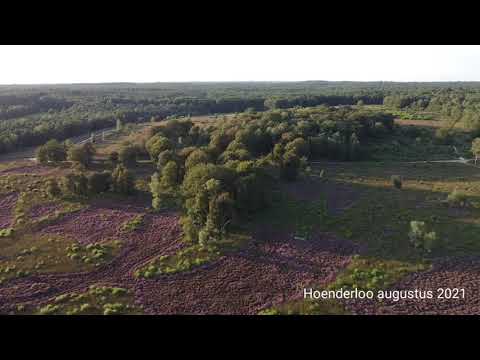 Hoenderloo augustus 2021