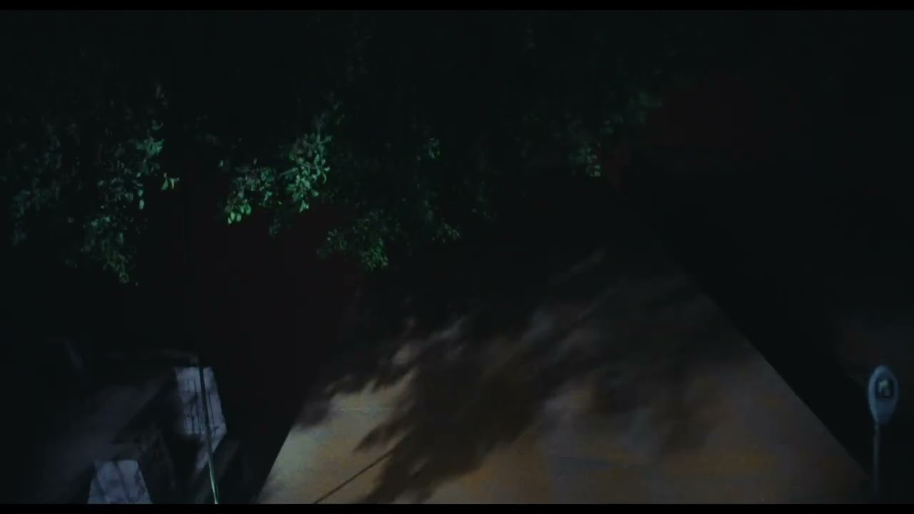 The Congestion - TRAILER