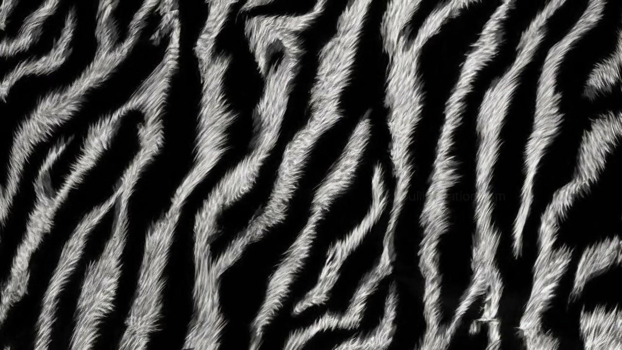 seamless soft fluffy zebra tiger stripe african safari wildlife pattern realistic black white