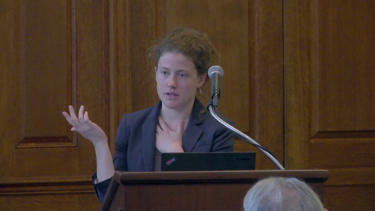 Investor Influence as Cross-Border Environmental Regulation