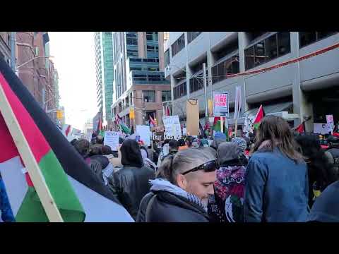 Leve Palestina song 🎵 ♥️ in Toronto, Canada. Rally in Toronto in support of Palestine 🇵🇸
