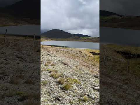 PÁRAMO de BERLÍN: Donde NACEN las NUBES | TONA, SANTANDER | #shorts 🇨🇴