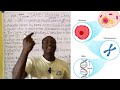 40 JAMB 2026 BIOLOGY Likely Questions Revealed Score 90 In Your JAMB Biology