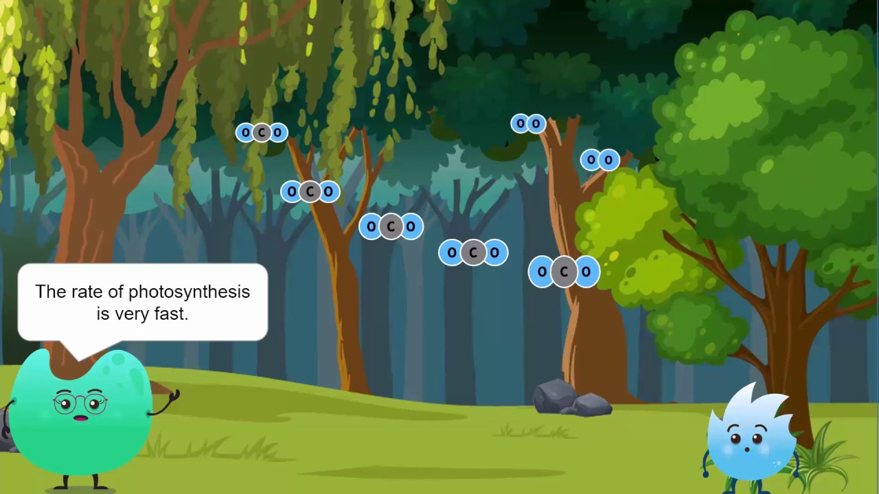 What is the purpose of respiration in plants? Tipseri