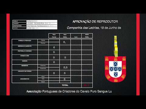 200619 11 Sincero - Aprovação de Garanhões