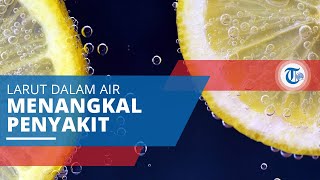 Vitamin C, Salah Satu Jenis Vitamin yang Larut dalam Air dan Memiliki Peranan Menangkal Penyakit