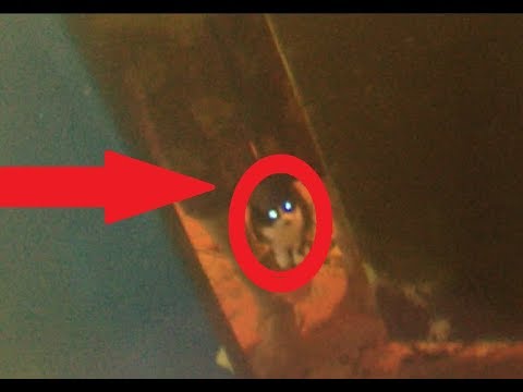 УХО!!!ДОМА?! Где!!Дверь в дом!батареи надо?!)))