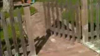 Sesame Street - G You&#39;re Great