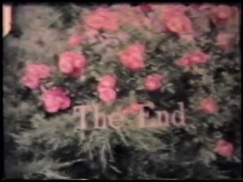 Musso Family memories 1967 1982