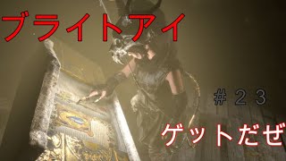 【トゥームレイダー】#23美しき冒険者:赤い洞窟でブライトアイゲットだぜ！【KoC オヤビン＆コビン】