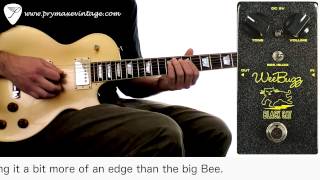 Video thumbnail for Black Cat Pedals Wee Buzz Fuzz by Prymaxe