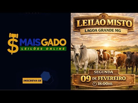 🐂🐄🐃 LEILÃO MISTO DE BOVINOS - LAGOA GRANDE/MG - MAIS GADO LEILÕES 🐂🐄🐃