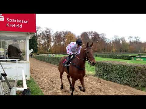 Aufgalopp Sibylle Vogt auf Epatant SloMo