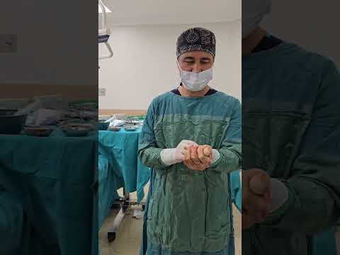 Özkan Onuk-1