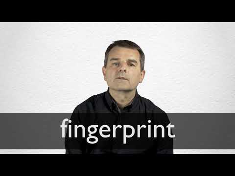 Fingerprint Definition And Meaning Collins English Dictionary Fingerprint Definition And Meaning Collins English Dictionary