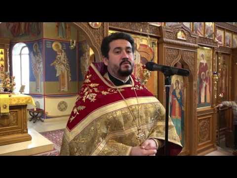 Проповедь в неделю 21-ю по Пятидесятнице, о гадаринском бесноватом