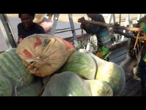 Soava dia, Josu� Michel