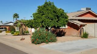 Scottsdale Home For Rent - 2 Bed 2 Bath - by Property Management in Scottsdale