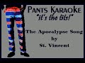 St. Vincent - The Apocalypse Song [karaoke]