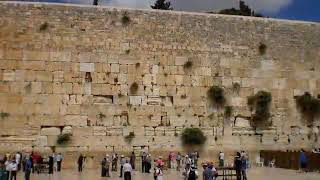 Download lagu 6 Aralık 2017 mp3