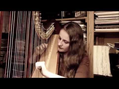 Shake It Off - Taylor Swift (Harp Cover)