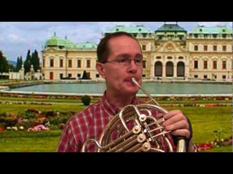 Mozart Horn Concerto No 1, 2nd Mvnt, Steve Park - Horn