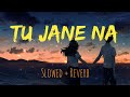 Tu Jane Na LoFi SLOWED REVERB TU JANE NA LOFI REMIX ATIF ASLAM LOFI MIX