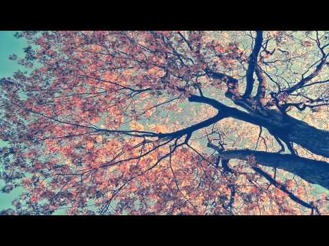 Bosques de mi mente: Nostalgia