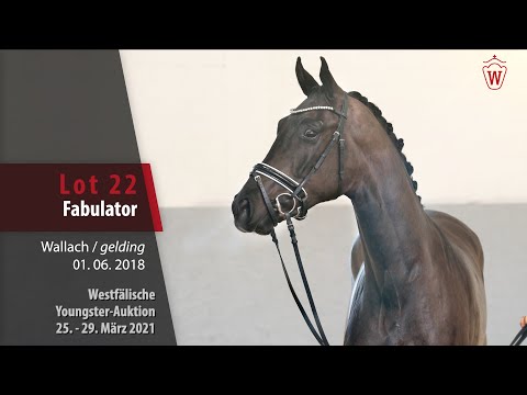 Westf. Youngster-Auktion 25.-29. März 2021 Fabolator Lot 22 Fabulator v. Fürst Romancier-Wolkentanz