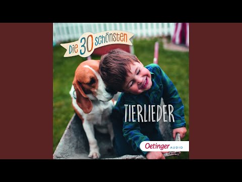 Auf der Mauer, auf der Lauer