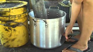 Fire Stove You WILL believe what happens next