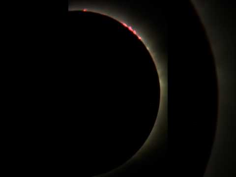 Spain cheers as they reach totality